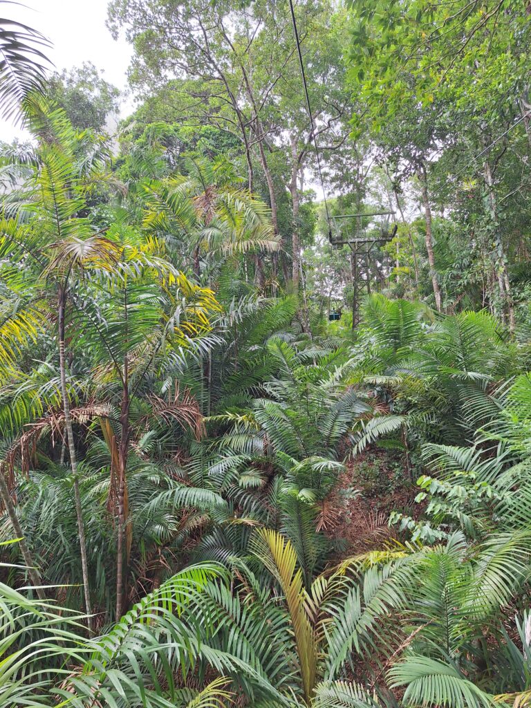 Parc Gamboa Teleferico