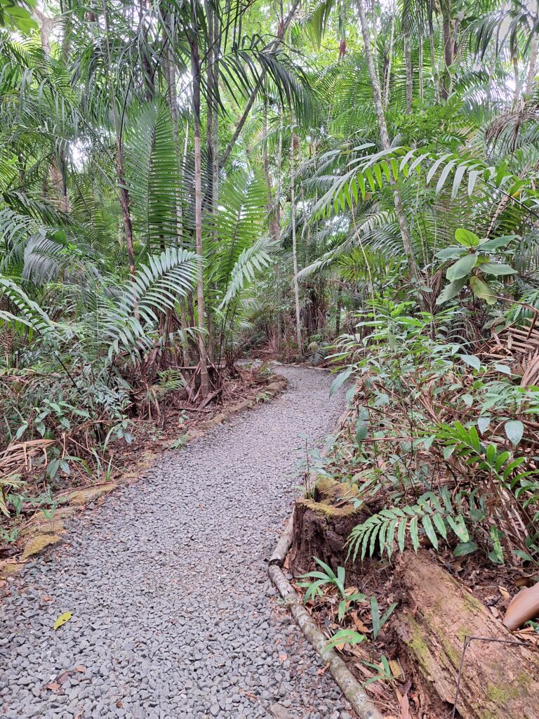 Parc Gamboa Teleferico