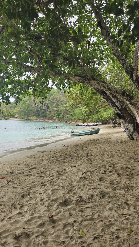 playa blanca venas azules