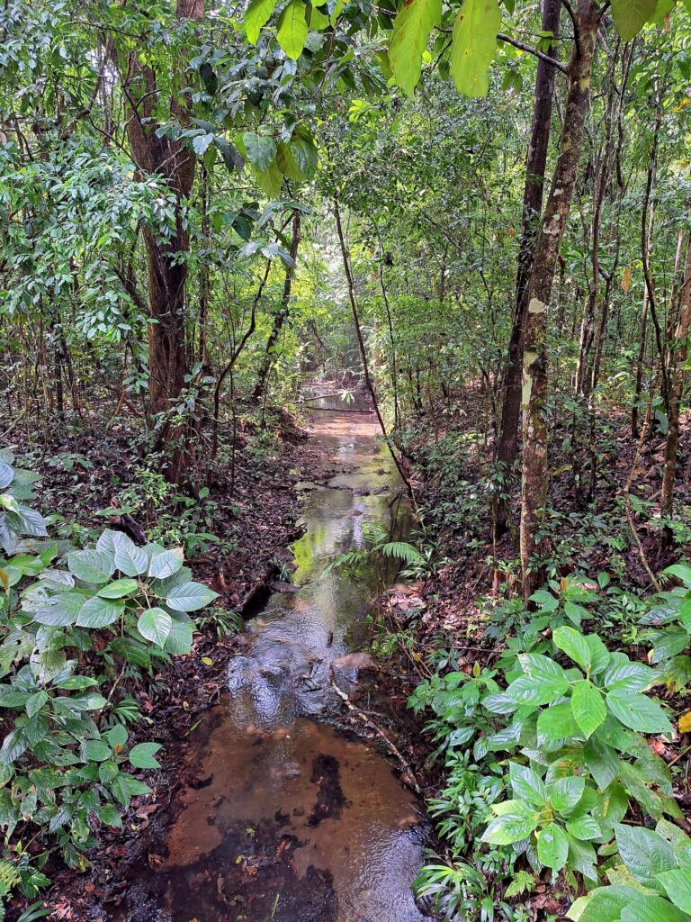 parc soberania pipeline chemin oeloduque