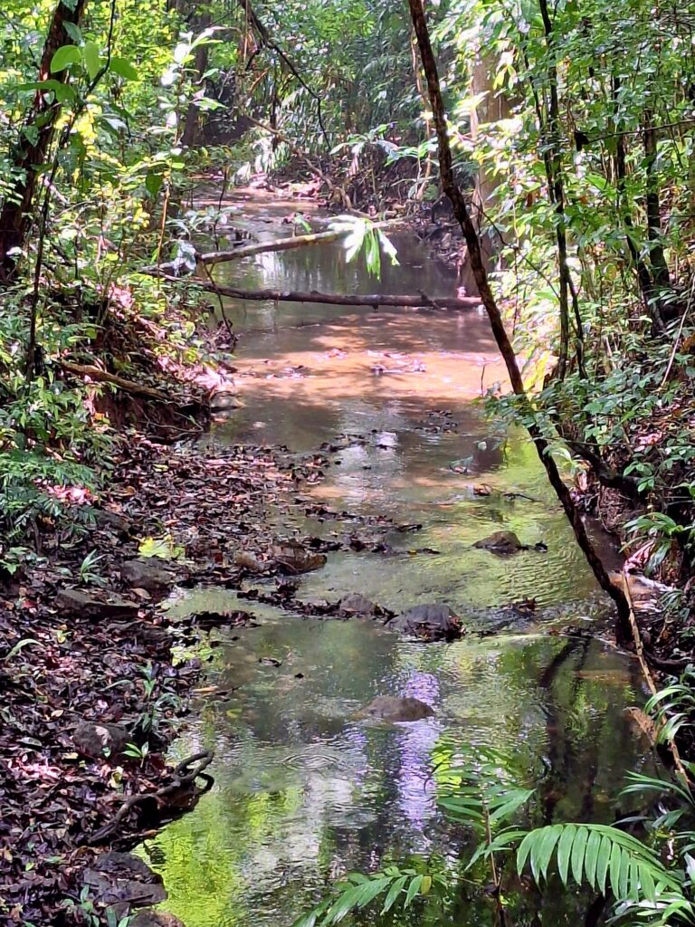 parc soberania pipeline chemin oeloduque