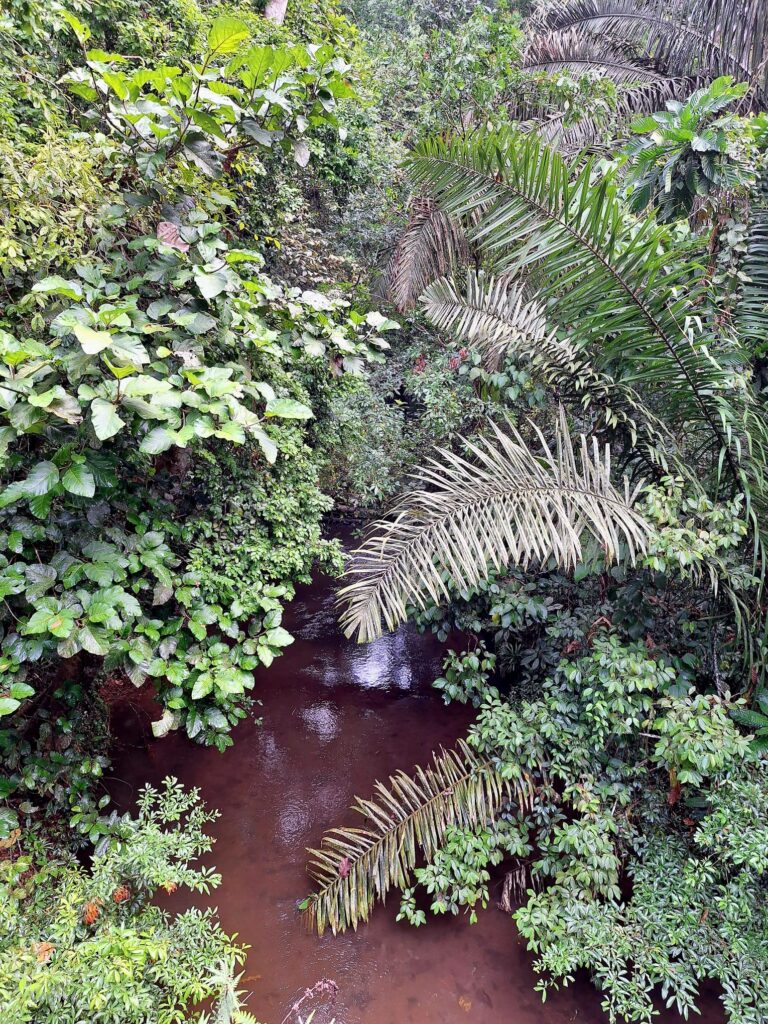 parc soberania pipeline chemin oeloduque