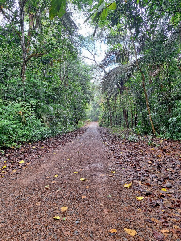 parc soberania pipeline chemin oeloduque