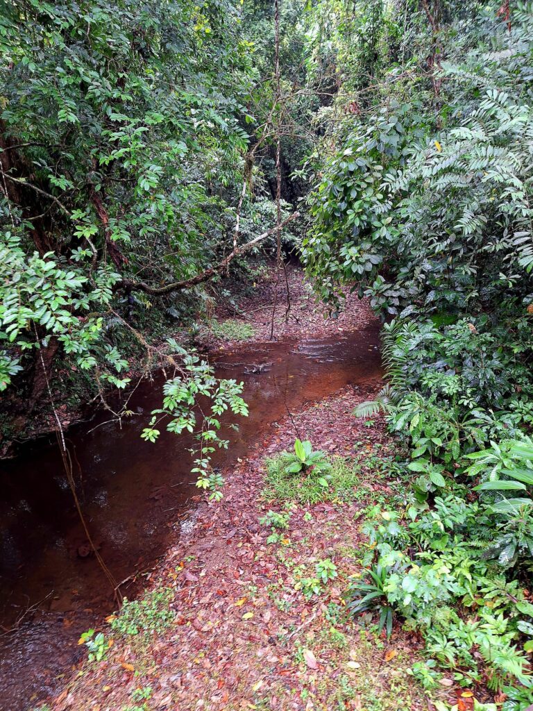 parc soberania pipeline chemin oeloduque