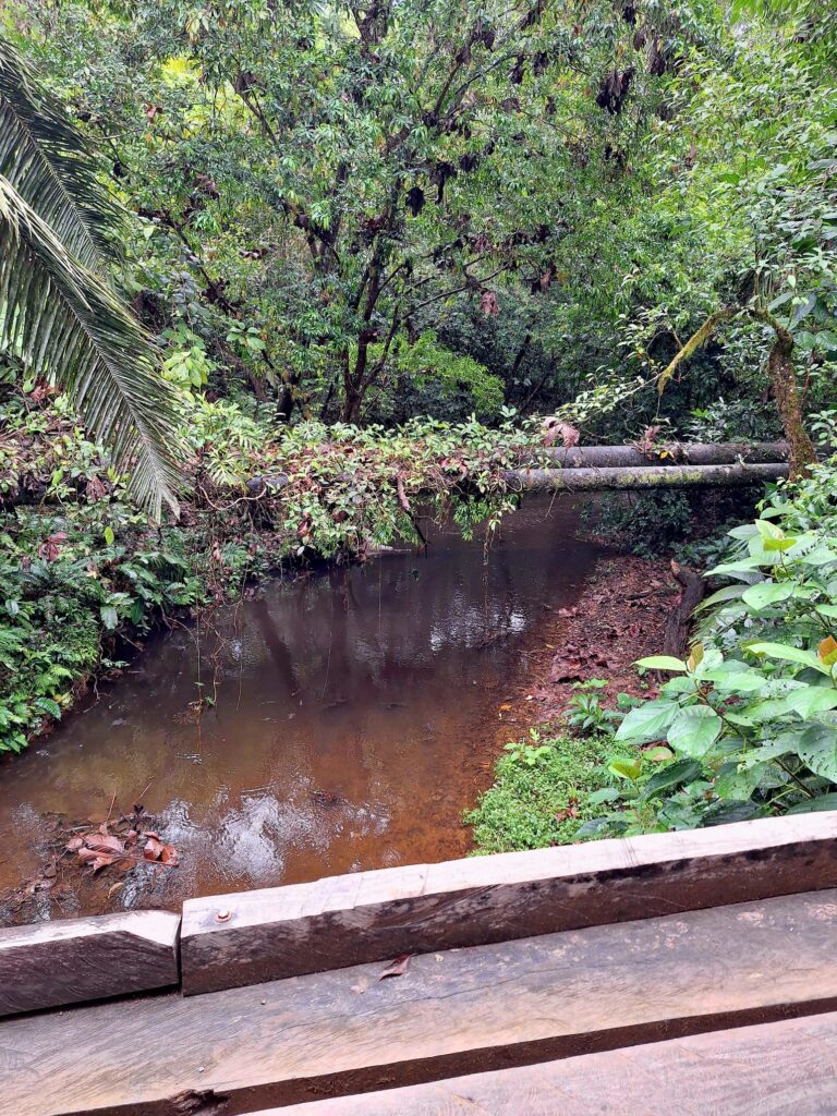 parc soberania pipeline chemin oeloduque