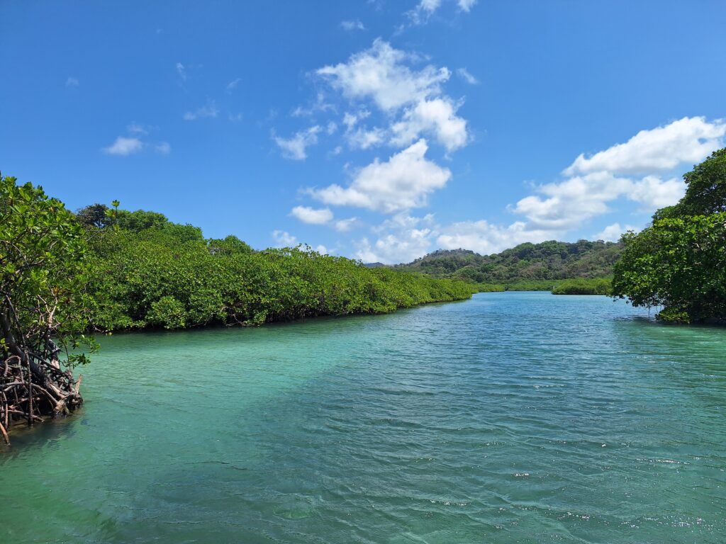 playa blanca venas azules