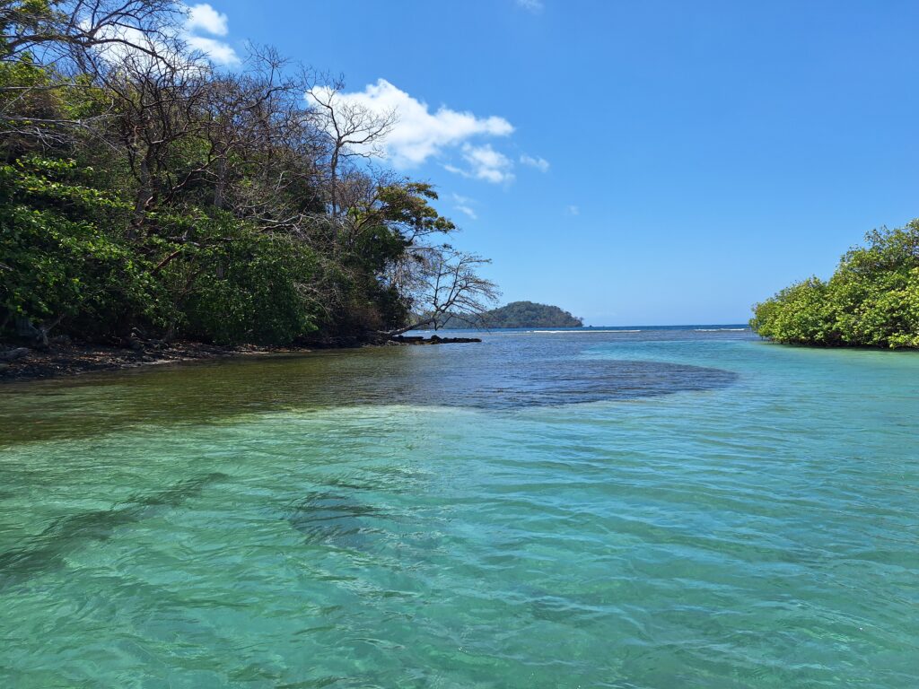 playa blanca venas azules